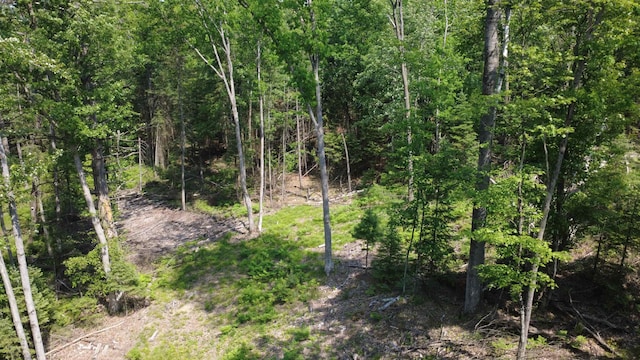 x Oleskie Trail, West Branch, MI 48661