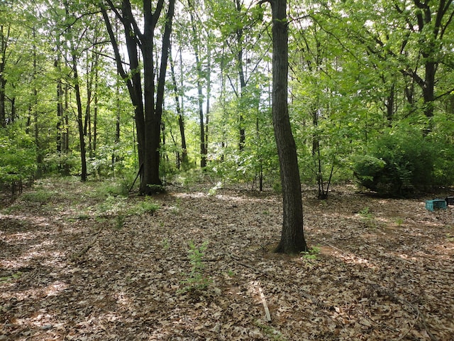 1920 S 15th St, Niles, MI 49120 - view of wooded area