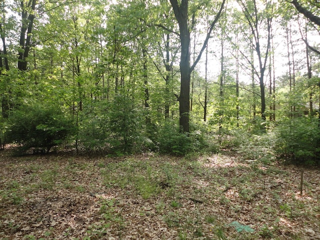 1920 S 15th St, Niles, MI 49120 - view of tree filled area