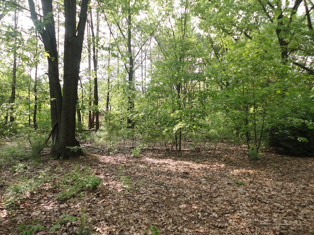 1920 S 15th St, Niles, MI 49120 - view of tree filled area