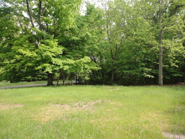 1920 S 15th St, Niles, MI 49120 - view of yard