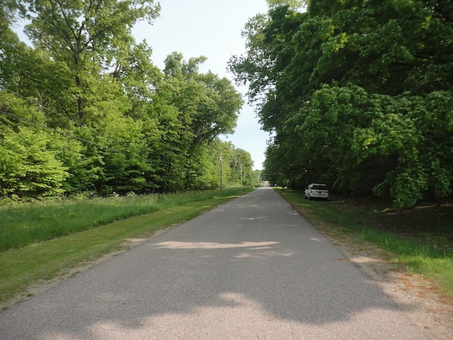 1920 S 15th St, Niles, MI 49120 - view of asphalt street with a view of trees