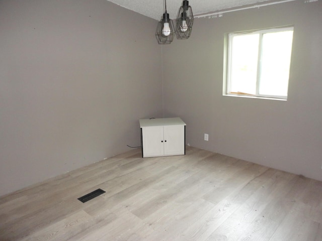 1920 S 15th St, Niles, MI 49120 - empty room featuring light wood-style floors