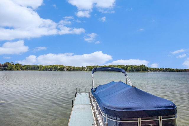 681 Gilead Shores Dr, Bronson, MI 49028 - dock with a water view
