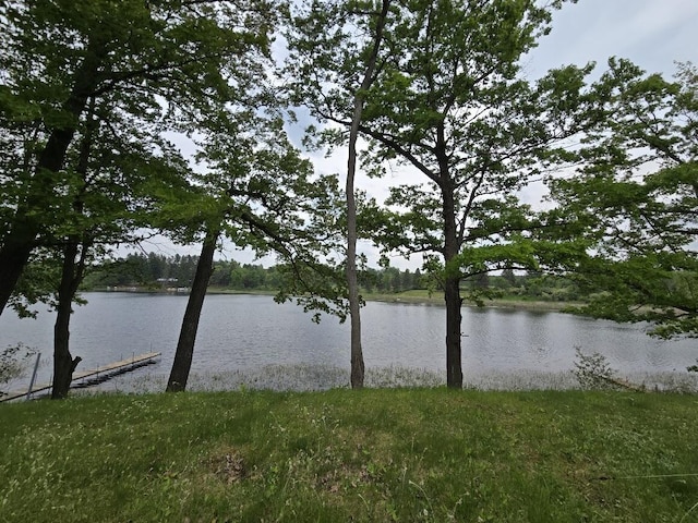 6063 Truman Rd, Barryton, MI 49305 - water view