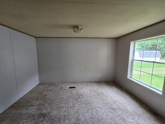 6063 Truman Rd, Barryton, MI 49305 - unfurnished room featuring carpet, crown molding, a decorative wall, and a textured ceiling