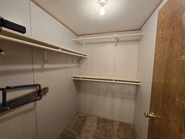 6063 Truman Rd, Barryton, MI 49305 - view of walk in closet