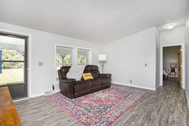 11494 18 1/2 Mile Rd, Marshall, MI 49068 - living area with wood finished floors, baseboards, healthy amount of natural light, a textured ceiling, and lofted ceiling