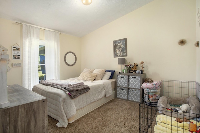 11494 18 1/2 Mile Rd, Marshall, MI 49068 - bedroom with lofted ceiling and carpet flooring