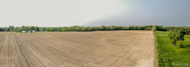 VL Mertz Rd, Mayville, MI 48744 - photo 7