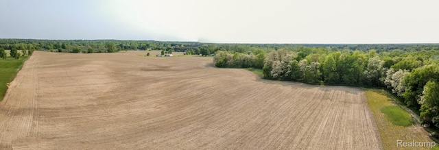 VL Mertz Rd, Mayville, MI 48744 - photo 5