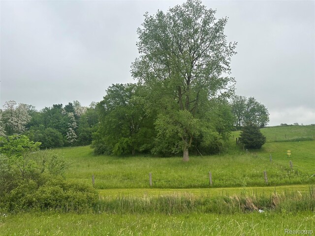 VL Mertz Rd, Mayville, MI 48744 - photo 11