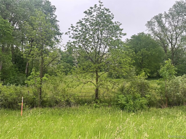 VL Mertz Rd, Mayville, MI 48744 - photo 12
