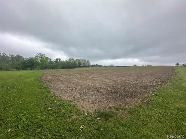 VL Mertz Rd, Mayville, MI 48744 - photo 14