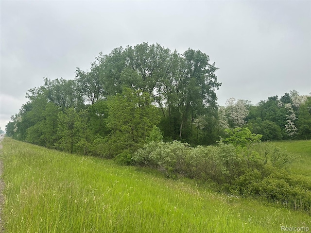VL Mertz Rd, Mayville, MI 48744 - photo 9