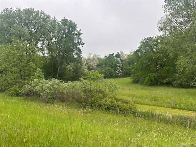VL Mertz Rd, Mayville, MI 48744 - photo 10
