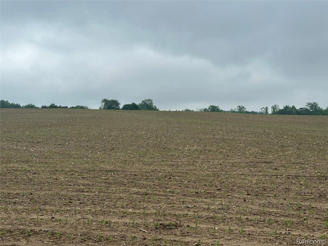 VL Mertz Rd, Mayville, MI 48744 - photo 26