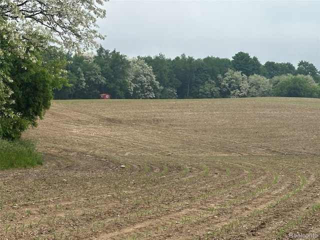 VL Mertz Rd, Mayville, MI 48744 - photo 2