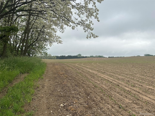 VL Mertz Rd, Mayville, MI 48744 - photo 22