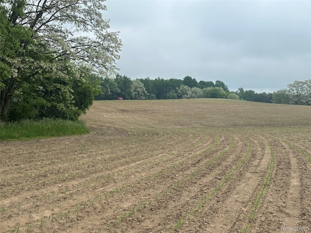 VL Mertz Rd, Mayville, MI 48744 - photo 27