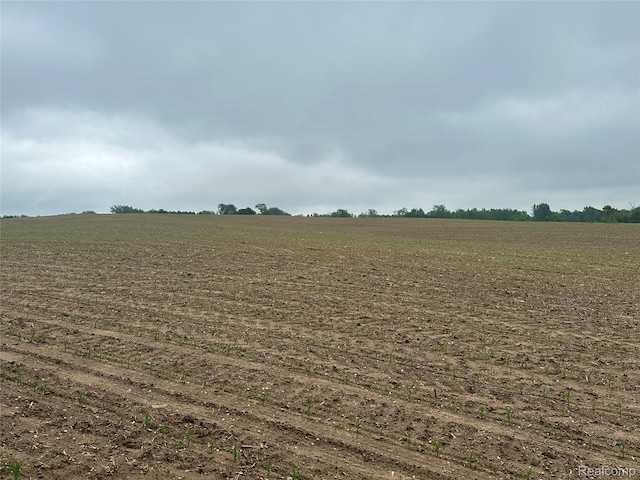 VL Mertz Rd, Mayville, MI 48744 - photo 25