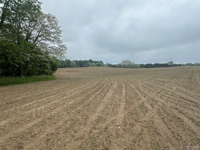 VL Mertz Rd, Mayville, MI 48744 - photo 28