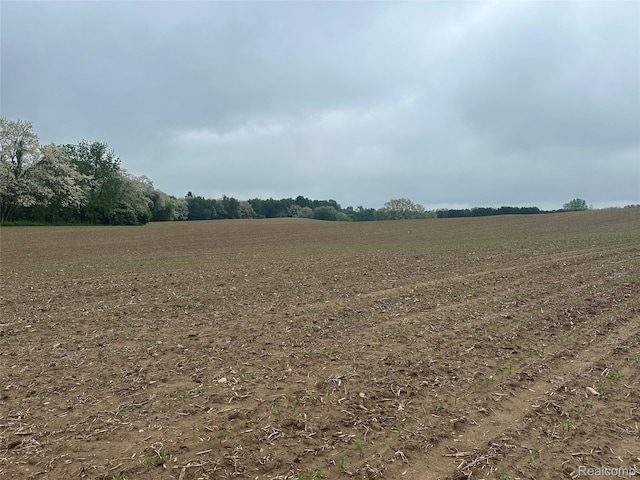 VL Mertz Rd, Mayville, MI 48744 - photo 29