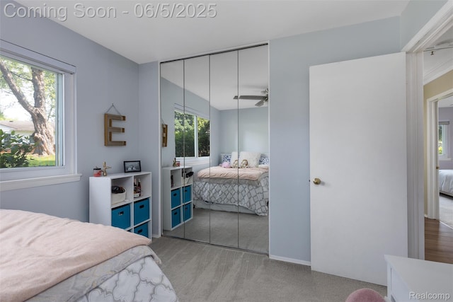 5908 Burnham Rd, Bloomfield Hills, MI 48302 - bedroom featuring multiple windows, a closet, and carpet flooring