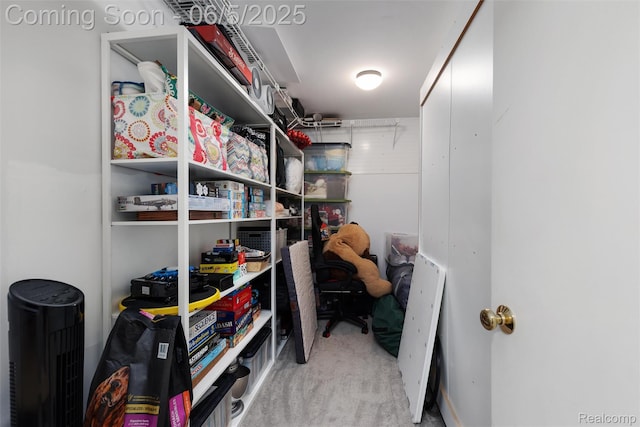 5908 Burnham Rd, Bloomfield Hills, MI 48302 - view of storage