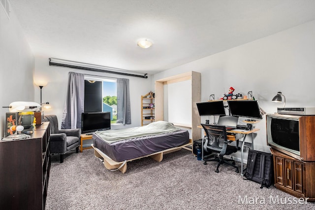 310 Robin Ct, Caledonia, MI 49316 - bedroom featuring carpet floors and an office area
