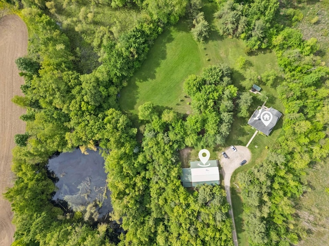 1687 Dimmers Rd, Reading, MI 49274 - bird's eye view