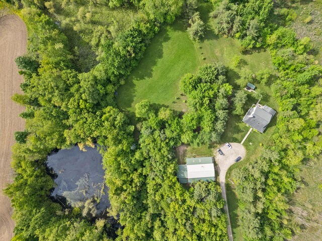 1687 Dimmers Rd, Reading, MI 49274 - bird's eye view
