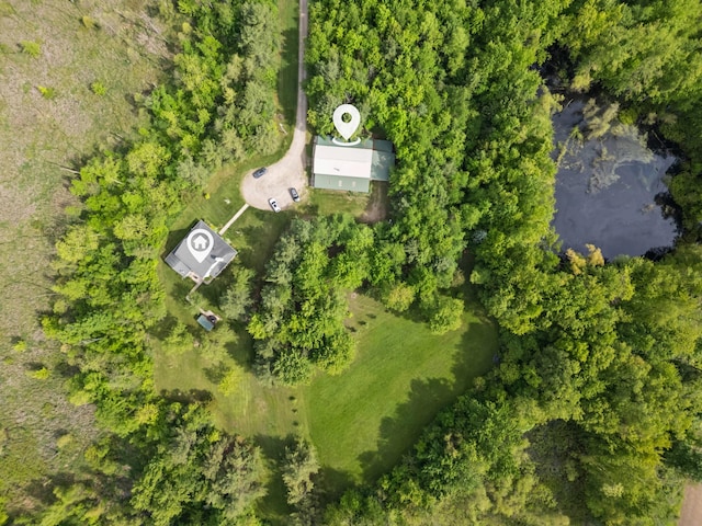 1687 Dimmers Rd, Reading, MI 49274 - drone / aerial view