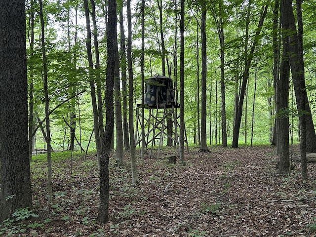 1687 Dimmers Rd, Reading, MI 49274 - view of tree filled area