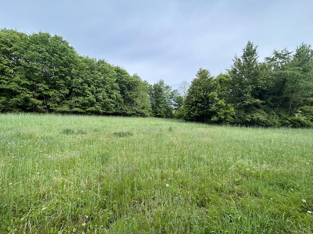 1687 Dimmers Rd, Reading, MI 49274 - view of yard