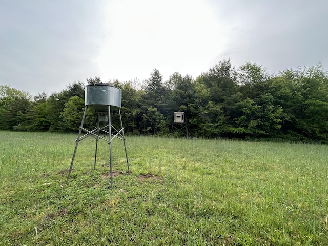1687 Dimmers Rd, Reading, MI 49274 - view of yard
