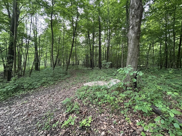 1687 Dimmers Rd, Reading, MI 49274 - view of woods