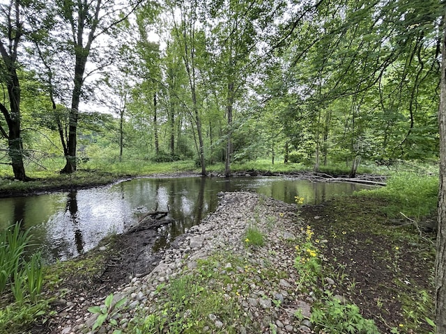 1687 Dimmers Rd, Reading, MI 49274 - water view featuring a heavily wooded area