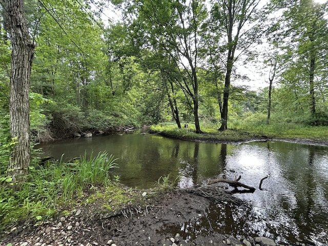 1687 Dimmers Rd, Reading, MI 49274 - water view featuring a heavily wooded area