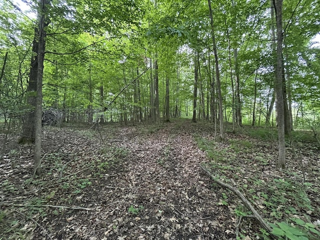 1687 Dimmers Rd, Reading, MI 49274 - view of woods