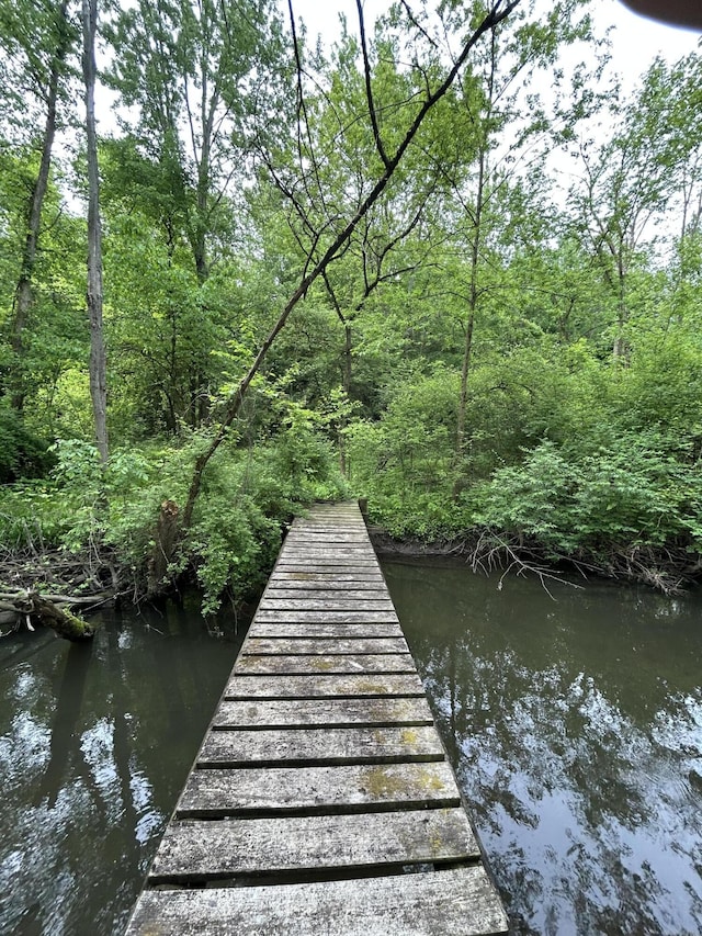 1687 Dimmers Rd, Reading, MI 49274 - dock area with a water view