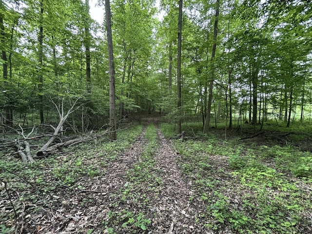 1687 Dimmers Rd, Reading, MI 49274 - view of tree filled area