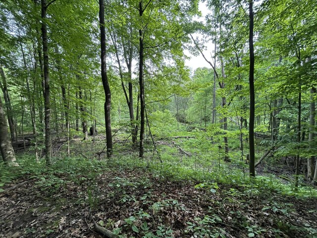 1687 Dimmers Rd, Reading, MI 49274 - view of wooded area