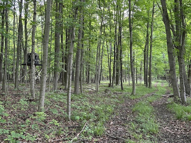 1687 Dimmers Rd, Reading, MI 49274 - view of woods