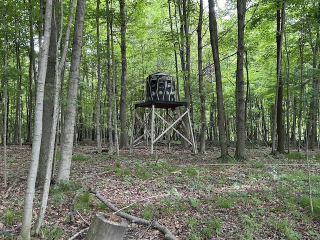 1687 Dimmers Rd, Reading, MI 49274 - view of outdoor structure with a forest view