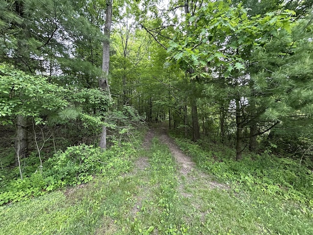 1687 Dimmers Rd, Reading, MI 49274 - view of woods
