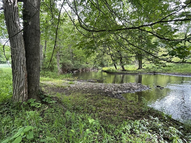 1687 Dimmers Rd, Reading, MI 49274 - water view featuring a heavily wooded area