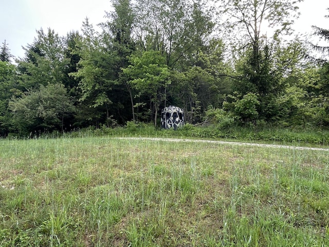 1687 Dimmers Rd, Reading, MI 49274 - view of yard
