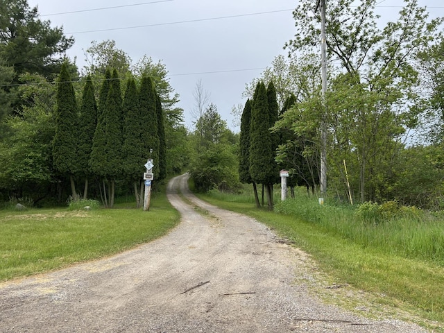 1687 Dimmers Rd, Reading, MI 49274 - view of street featuring a forest view