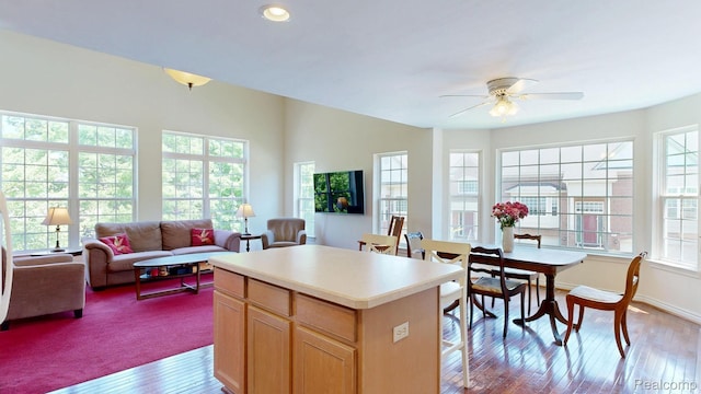 71 Grandview Cir, White Lake, MI 48386 - kitchen with open floor plan, light countertops, wood-type flooring, a ceiling fan, and recessed lighting